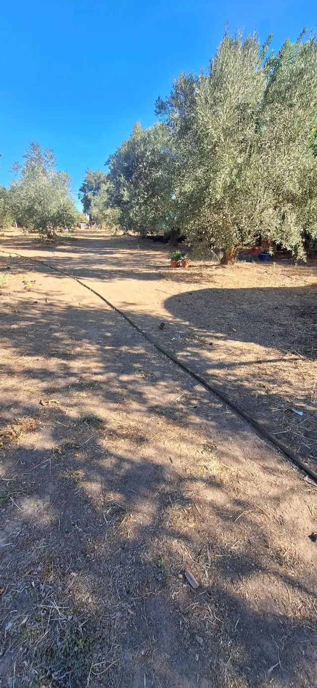 Finca Rustica En Gibraleon — 26
