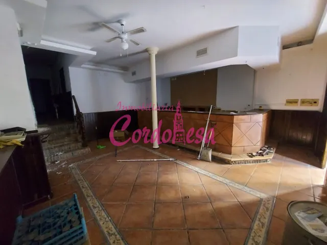 CASA INDEPENDIENTE CON LOCAL COMERCIAL EN PLANTA BAJA — 9