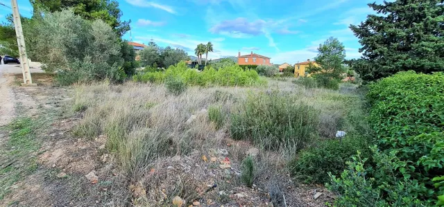 2 PARCELAS EN 1 COMPLETAMENTE LLANAS CON UN TOTAL DE 2300M2 — 8