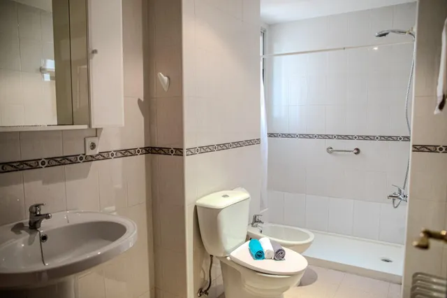 PISO EN CALLE EMILIA PARDO BAZAN 8 — 6