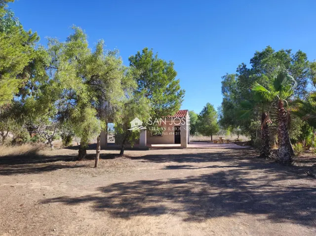 VENTA DE CHALET EN ASPE, ZONA CAMINO VIEJO DE HONDÓN — 32
