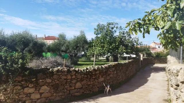 Estupenda parcela urbana en el centro de Aldea del Cano - foto 4