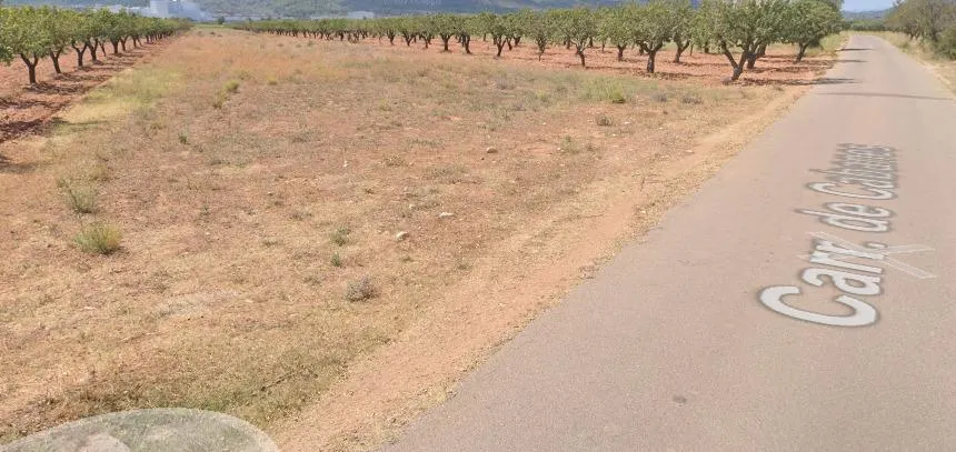 FINCA RUSTICO SECANO EN VILLAFAMES ACCESO POR CAMINO ASFALTADO