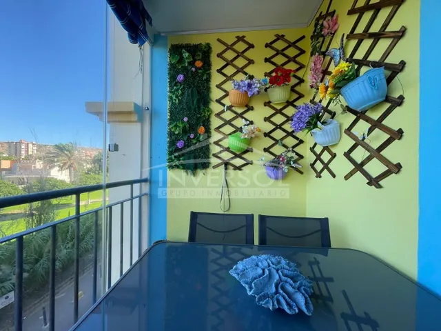 ESTUDIO EN EL CENTRO DE ALMERIMAR, LAS ENTINAS — 7