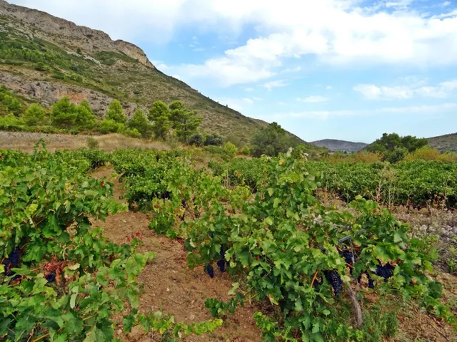 Bodega en venta en Jalon — 20