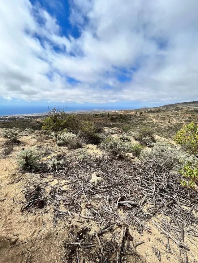 TERRENO RURAL EN VENTA EN ARICO VIEJO – Sur de Tenerife