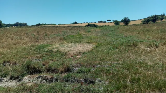El Fain, Monarda y Hoyos del Boyero - foto 4