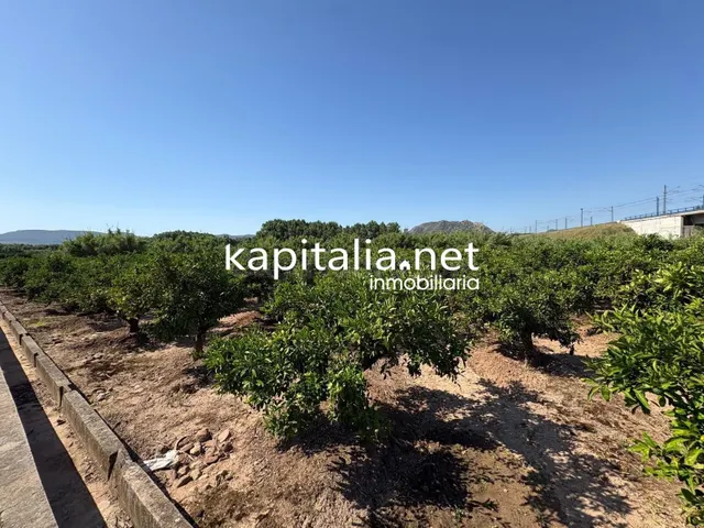 FINCA DE NARANJOS A LA VENTA EN XATIVA - foto 4