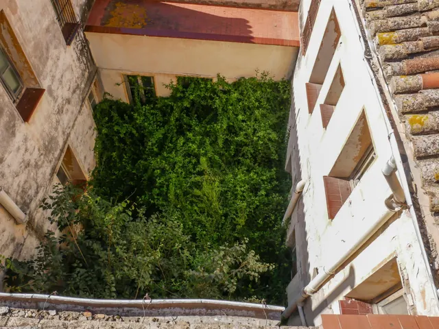 PALACETE HISTÓRICO DE 1900 EN EL CENTRO DE ALBERIC – 14 habitaciones, JARDINES Y GRAN POTENCIAL — 6