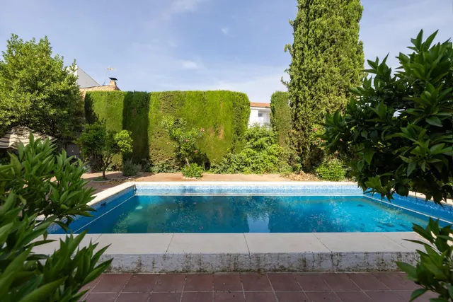 EXCLUSIVA FINCA CON 30.000 m2 DE SUELO URBANIZABLE EN OGÍJARES (GRANADA) – VIVIENDA, PISCINA Y GRAN POTENCIAL DE INVERSIÓN — 9