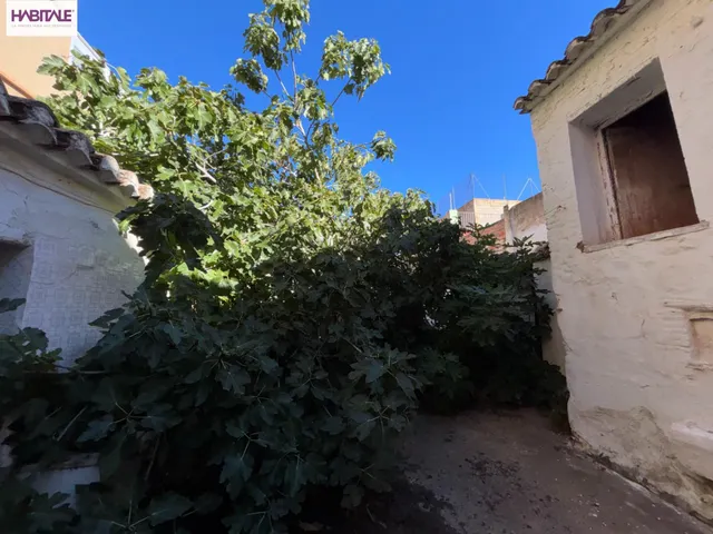 Piensa, sueña, crea — 15
