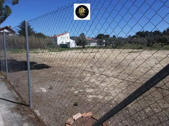 SOLAR EN LA YEDRA