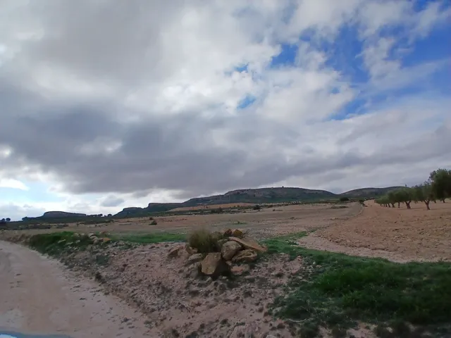 Parcela en venta - Yecla — 14
