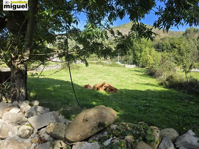 Se vende Terreno Urbano en Celis, Rionansa — 15