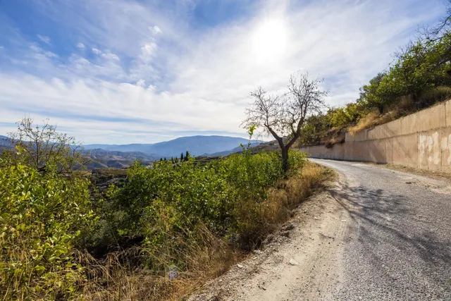 ¡Oportunidad única! Dos Fincas rústicas de mas de 15.000 m2 en total en Pinos del Valle. VENTA JUNTAS O SEPARADAS — 48