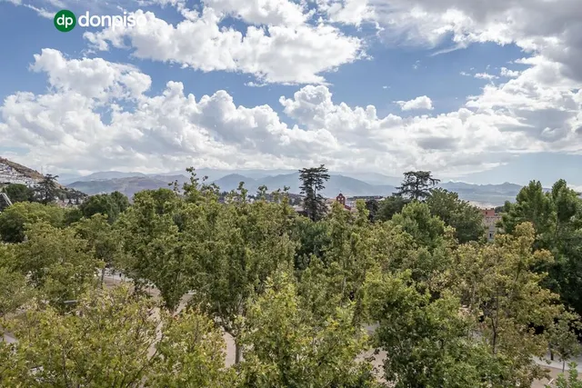 Pisazo en paseo del salón - Granada — 49