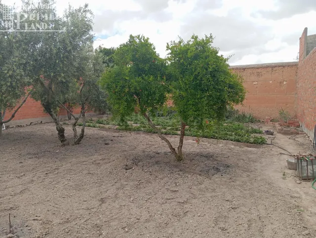 Amplio Solar en Argamasilla de Alba - Oportunidad Única por  - foto 3