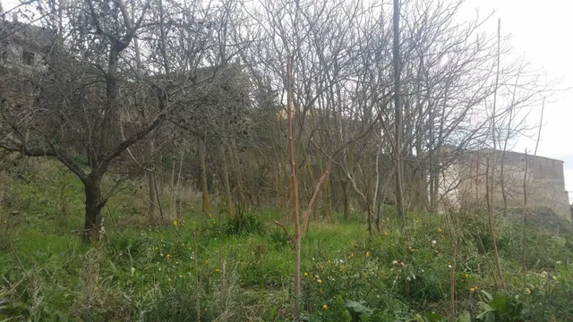Terreno urbano en Biar, en la ladera del Castillo-PROMOCIÓN  - foto 4