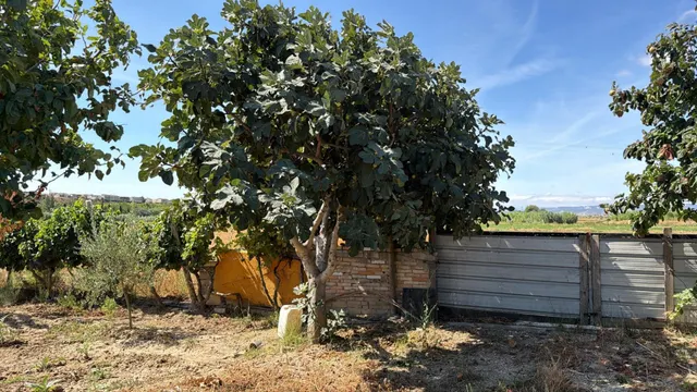 Terreno Rural en Ejea de los Caballeros — 8