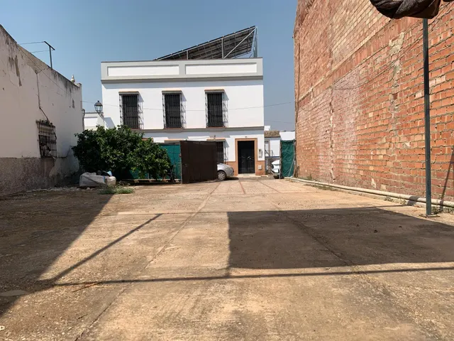 MAGNIFICO SOLAR EN CANTILLANA (SEVILLA) — 8