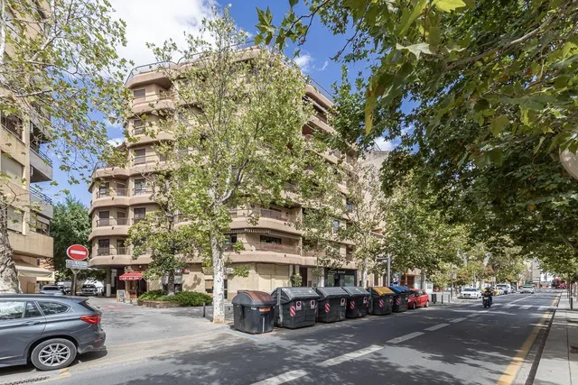 Pisazo en paseo del salón - Granada — 44