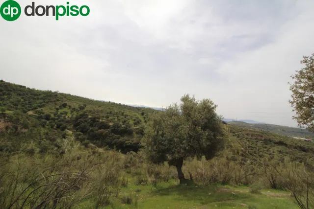 FINCA EN CORTIJO SAN JERÓNIMO (BARTODANO) — 24