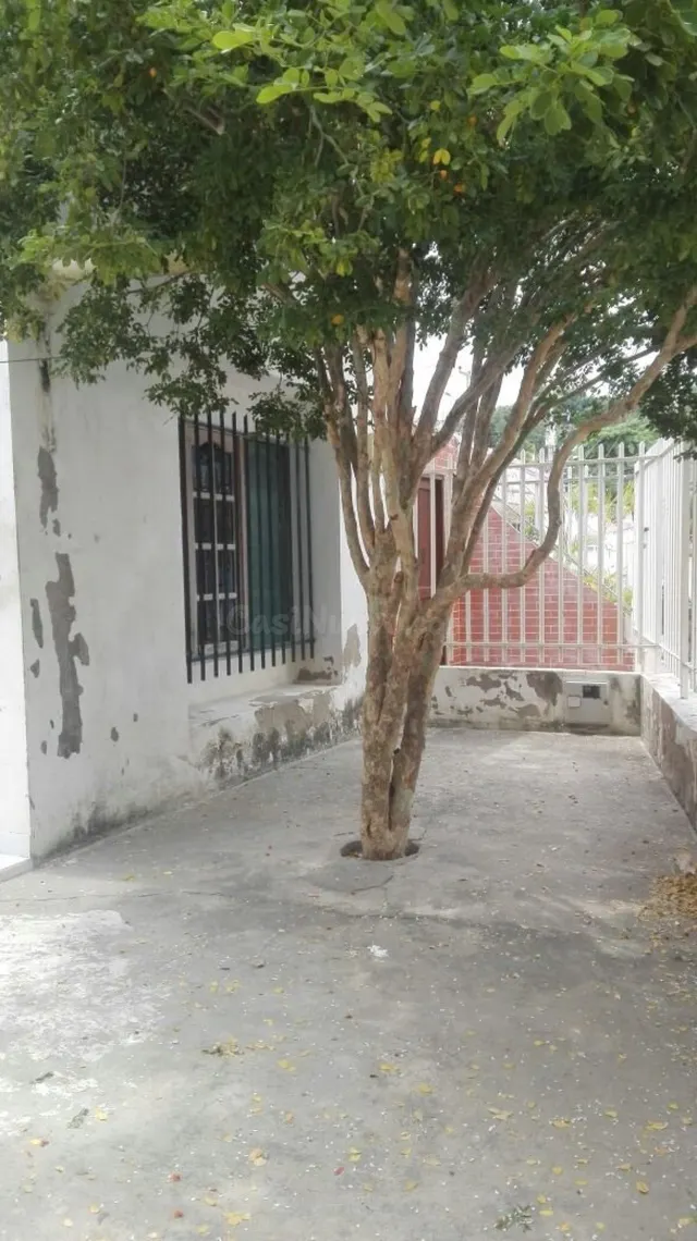 Venta de Casa en Torices - foto 4