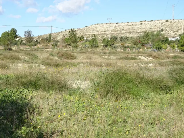 SE VENDE PARCELA DE 20814 M2 CON ALMACÉN DE 45 M2 EN ASPE ZO - foto 4