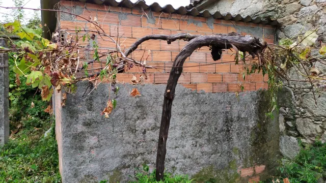 SE VENDE CASA DE PIEDRA PARA REFORMAR EN BUGALLIDO — 18