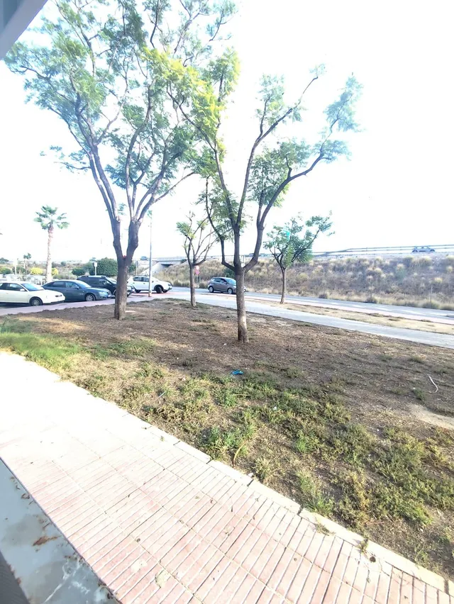 Piso ensan vicente del raspeig, Alicante — 19