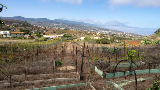 Terreno urbano en Tacoronte. — 41