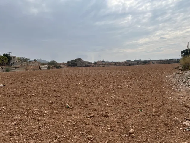 CAMPO PARA CULTIVO — 4