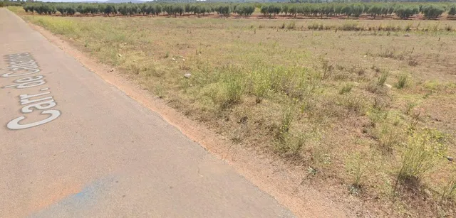 FINCA SECANO LLANA A PIE DE CAMINO ASFALTADO SITUADA EN EL TERMINO DE VILLAFAMES — 2