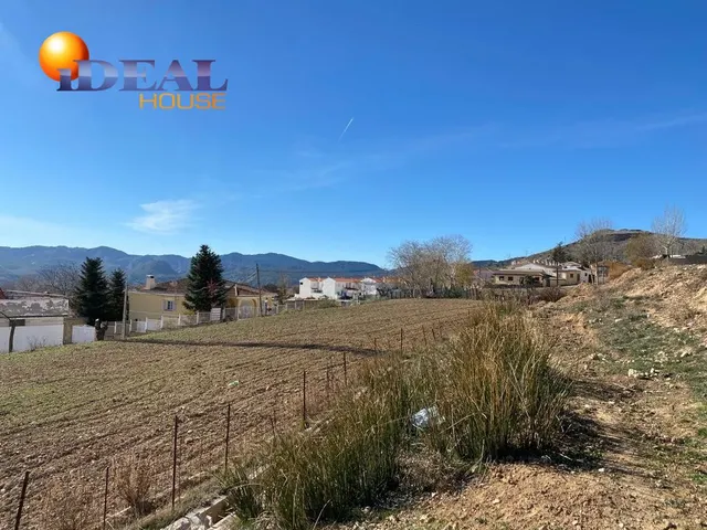en venta solar en diezma para la construcción de unifamiliares — 15