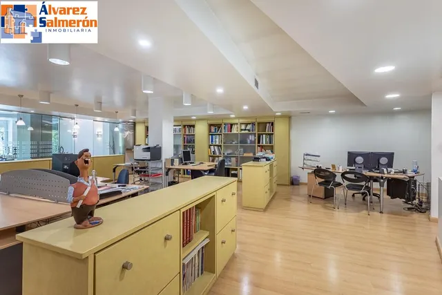 EXCLUSIVO INMUEBLE EN PLAZA DE CARRETAS, JUNTO AL EMBLEMÁTICO PASEO DEL SALÓN — 12
