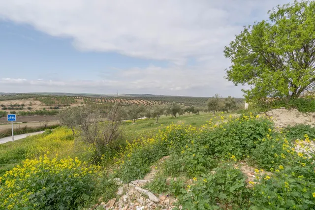 Parcela urbana de 985 m2 en Cúllar Vega (El Ventorrillo) — 47