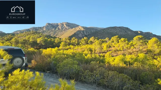 TERRENO RUSTICO EN ZONA LA NUCIA A 4 MINUTOS DE COLEGIO ELIANS,  FANTASTICAS VISTAS AL MAR Y MONTAÑA — 8