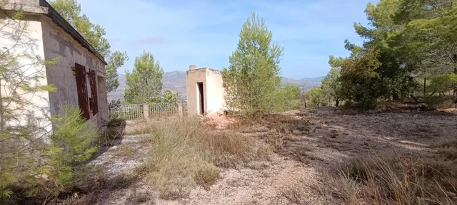 Encantadora Casa de Campo en Hondon de las Nieves - Oportunidad Única — 21