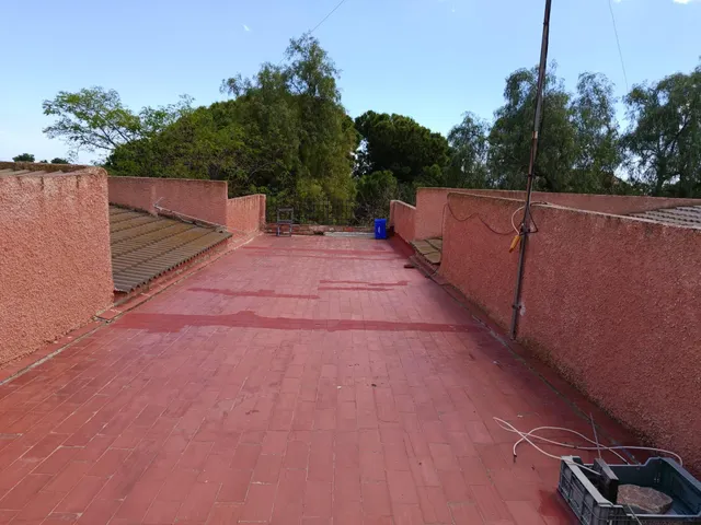 CASA DE CAMPO CERCA DE ELCHE — 41