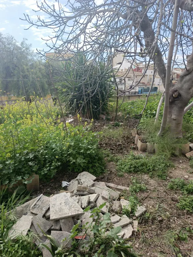 Gran casa en Aspe con inmenso jardín. — 7