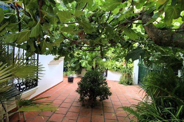 Encantadora casa en venta en Coín – ¡Una joya única con espectaculares vistas! — 26
