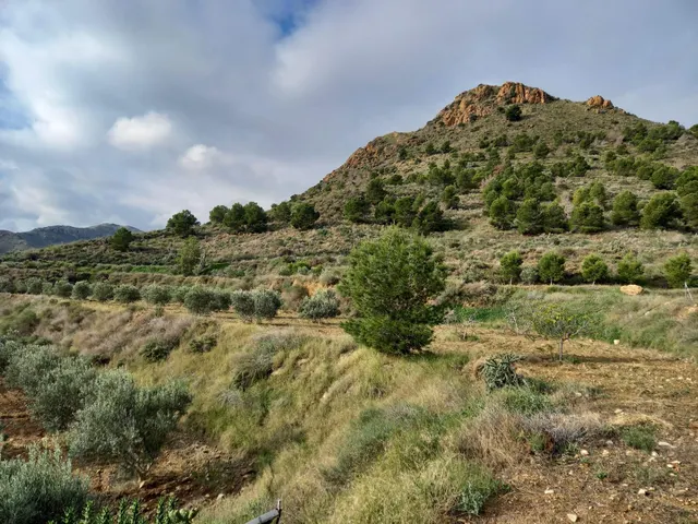 Refugio único con 3 viviendas, olivar y energía solar – Costa Cálida, Murcia — 22