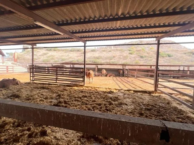 SE VENDE EXPLOATACIÓN GANADERA¡ — 7
