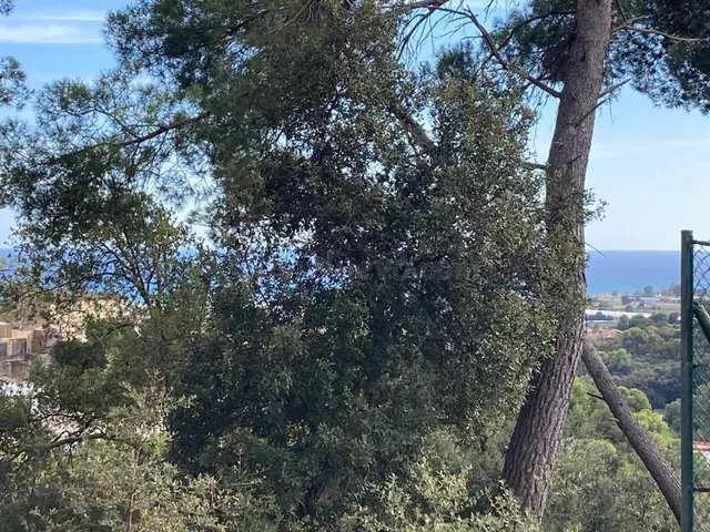 2 SOLARES EDIFICABLES EN VENTA EN SANTA SUSANNA - foto 2