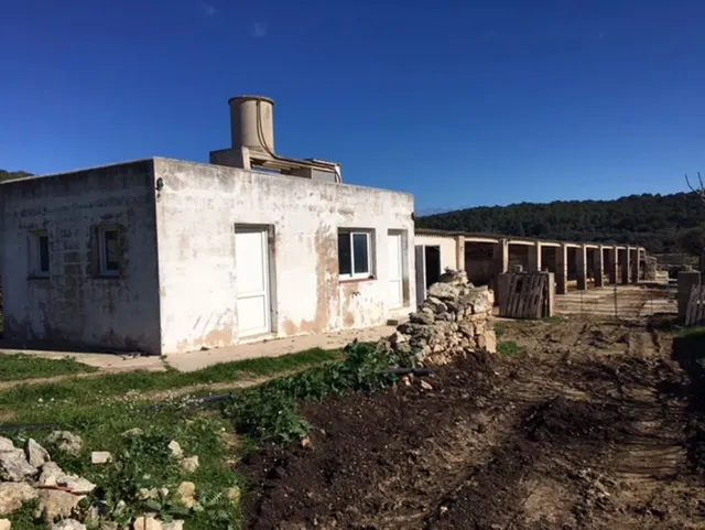 C-7035 - Casa de campo en Son Bou — 26