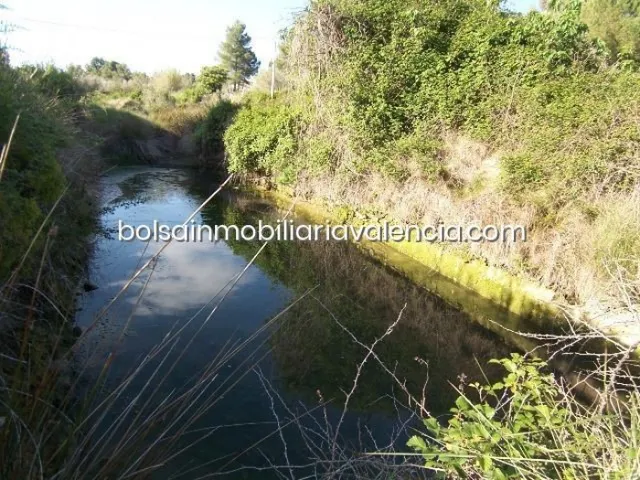 Terreno rural 8000m² en venta - La Raiosa — 12