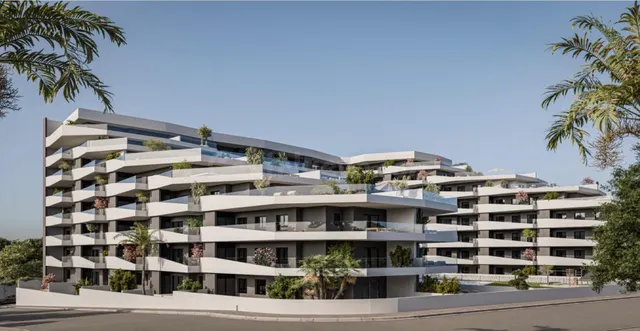 Obra nueva en San Miguel de Salinas — 2