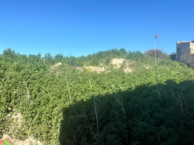 Casa de campo con parcela — 6