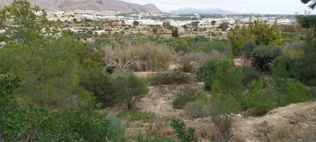 Parcela en venta. Zona Karting la cala en la carretera de Vi - foto 5