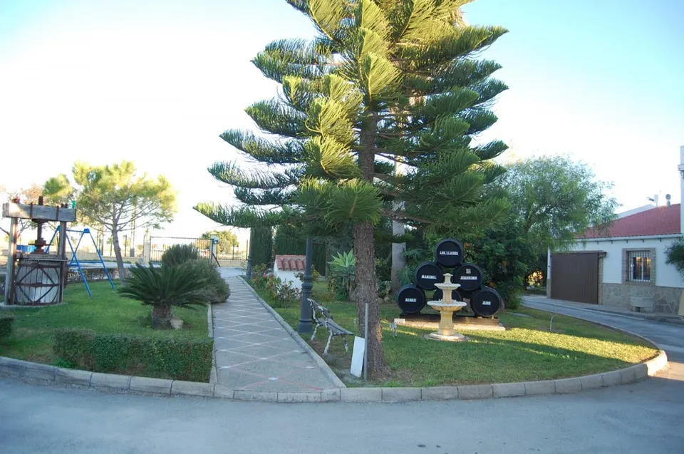 FINCA DE VIÑEDOS